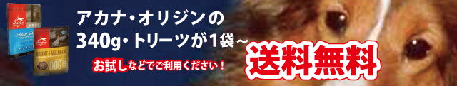 340£ç¥Õ¡¼¥É¡¦¥È¥ê¡¼¥ÄÁ÷ÎÁ̵ÎÁ
