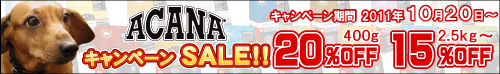 �����ʥȥ饤���륭���ڡ���